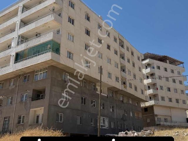Mardin Merkez, Mardin içerisinde kiralık mülk