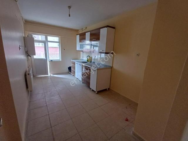 Kooperatifler Mahallesi, Yenişehir içerisinde kiralık mülk
