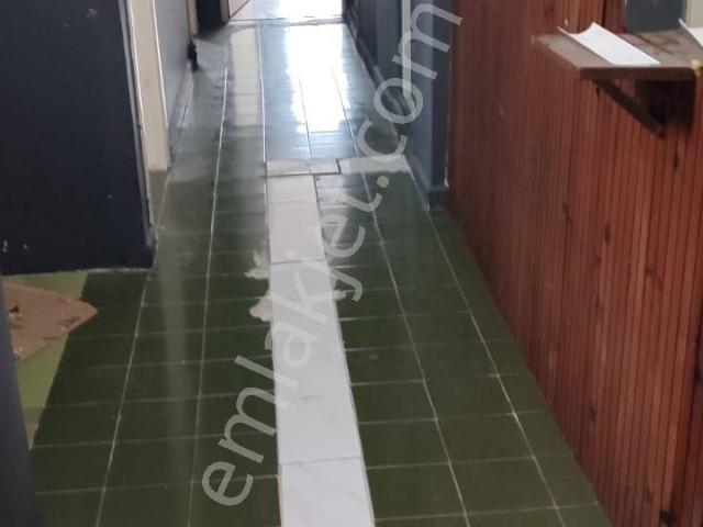 İlkadim, Samsun içerisinde kiralık mülk