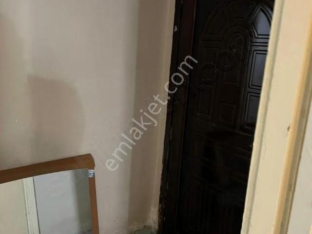 İstanbul Merkez, İstanbul içerisinde kiralık mülk