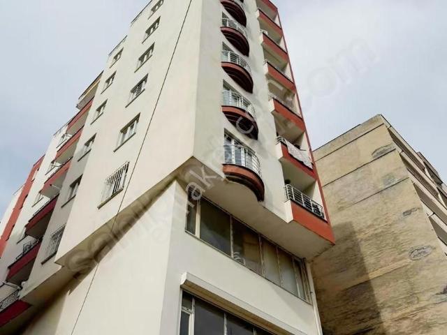 Kiziltepe, Mardin içerisinde kiralık mülk