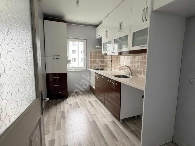 Yenikent Mahallesi, Esenyurt içerisinde kiralık mülk