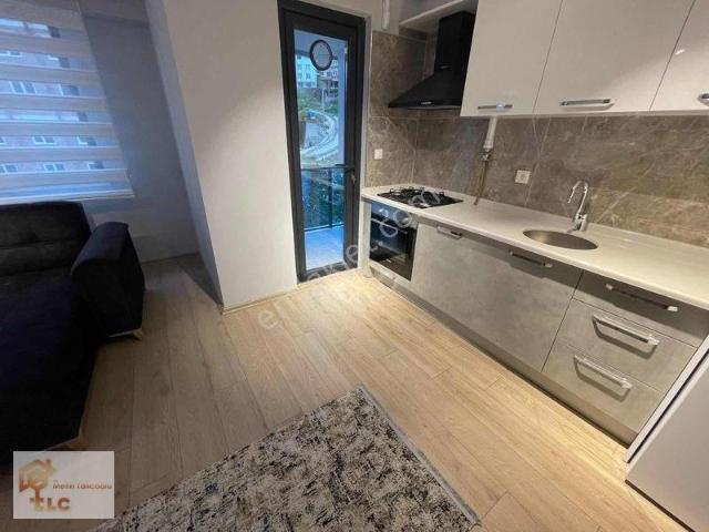 Giresun içerisinde kiralık mülk