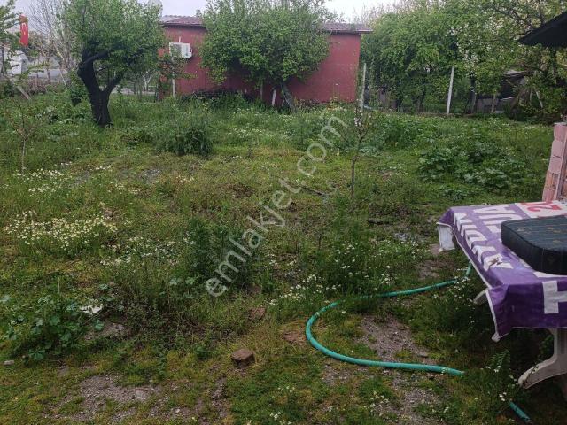Aydin içerisinde kiralık Villa