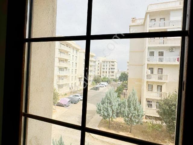 Zeynelabidin Mah., Nusaybin içerisinde kiralık mülk