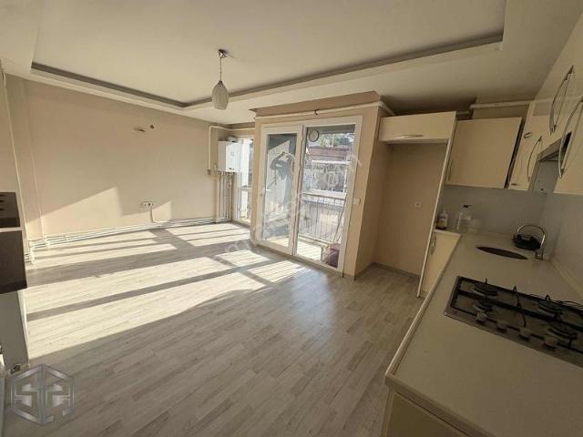Zafer, Selçuk içerisinde kiralık mülk