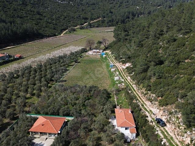 Kirazlı, Kuşadası içerisinde satılık Arsa