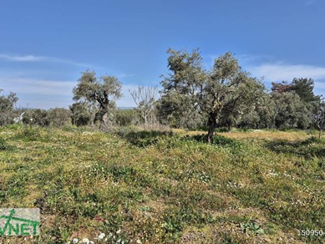 Selçuk, İzmir içerisinde satılık Arsa