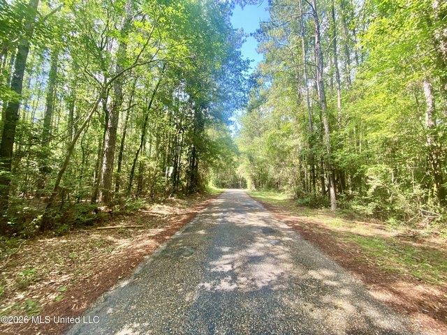 Land for sale in Wiggins, Mississippi