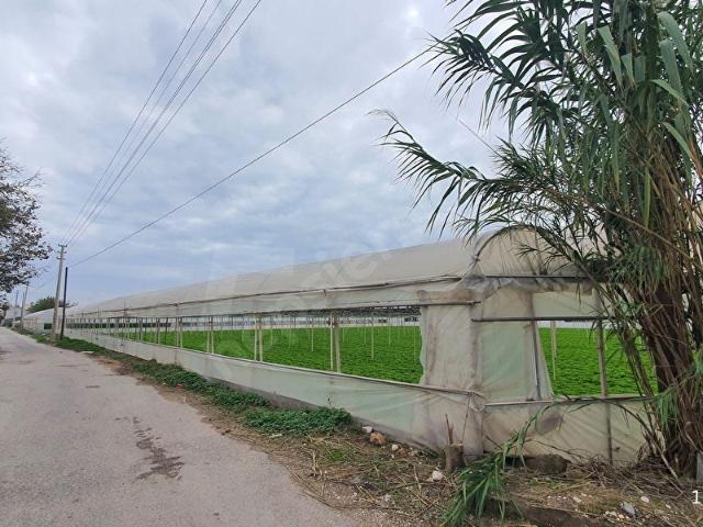 Muratpaşa, Antalya içerisinde satılık Arsa