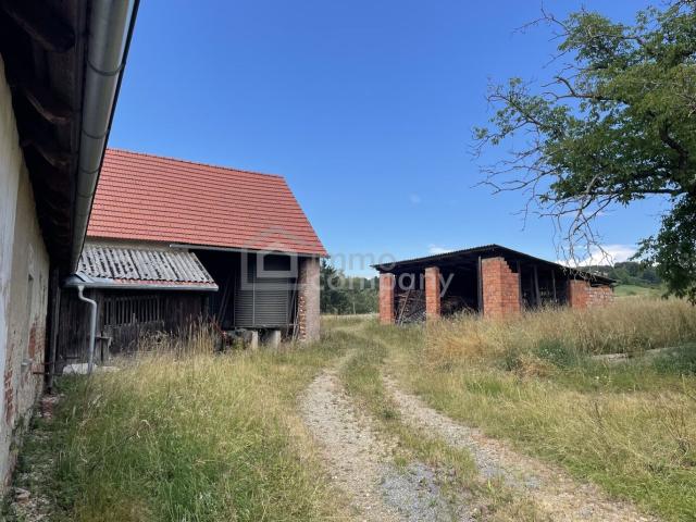 Haus kaufen in Fladnitz im Raabtal, Kirchberg an der Raab