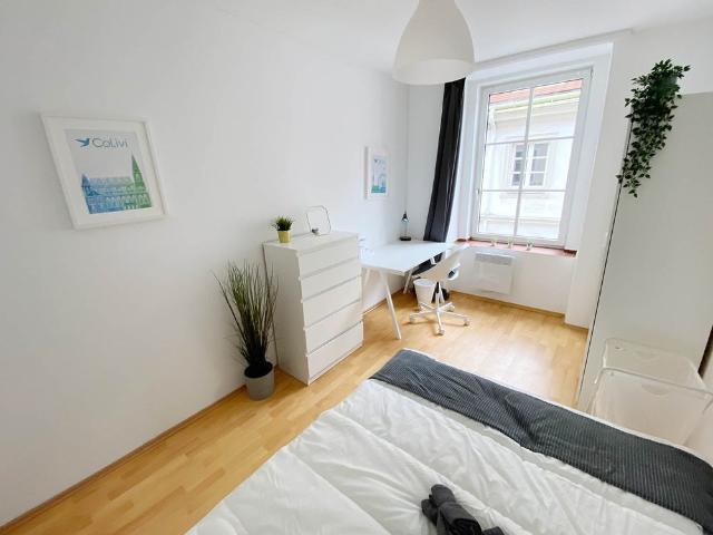 Zimmer mieten in KG Neubau, Wien