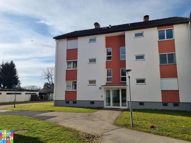 Wohnung mieten in Kaindorf an der Sulm