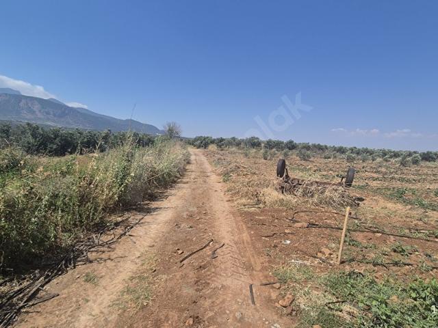 Kirikhan, Hatay içerisinde satılık Arsa