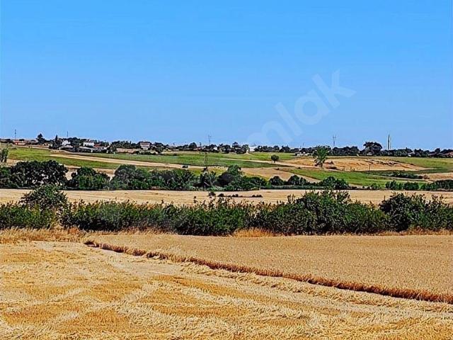 Sofuhalil, Babaeski içerisinde satılık Arsa