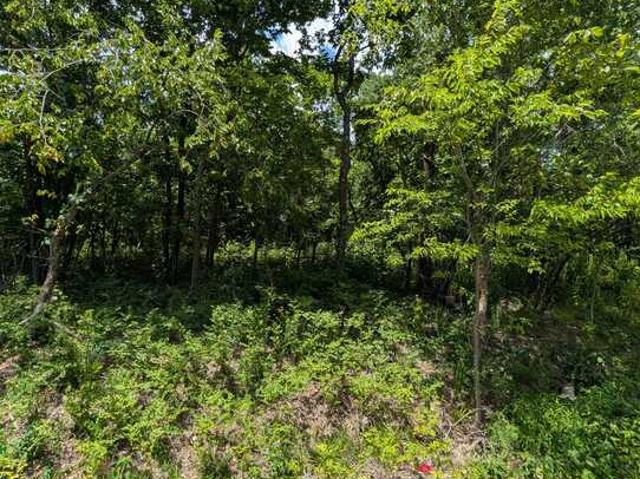 Land for sale in Ark