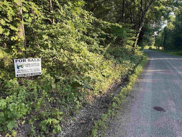 Land for sale in Clinton, Van Buren County