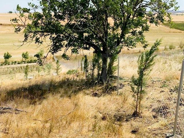 Kırkkepenekli Mahallesi, Muratlı içerisinde satılık mülk