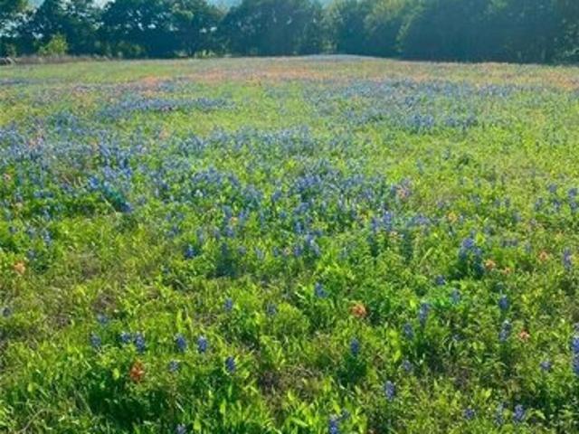 Land for sale in Axtell, Texas