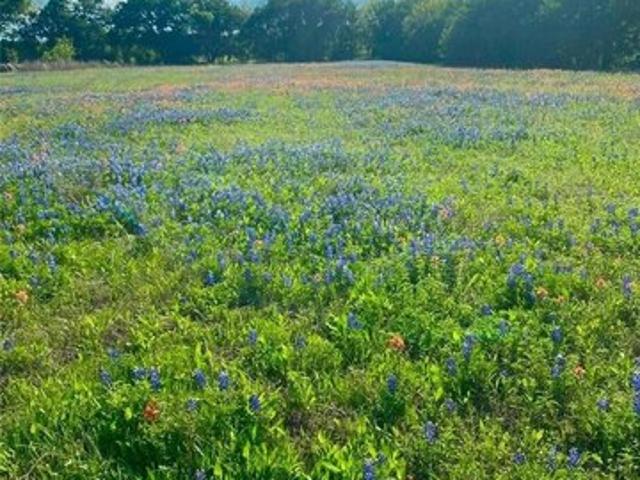 Land for sale in Axtell, Texas