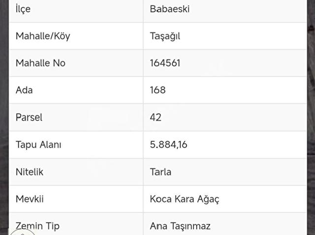 Taşağıl Köyü, Babaeski içerisinde satılık Arsa