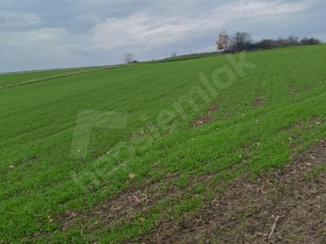 Paşayeri, Kırklareli Merkez içerisinde satılık Arsa