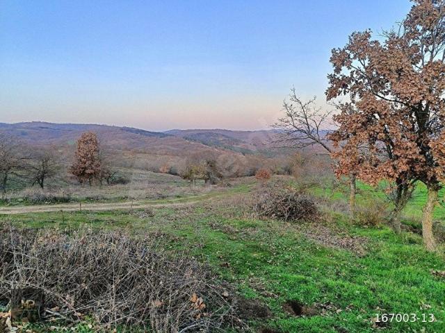 Düzorman, Kırklareli Merkez içerisinde satılık Arsa