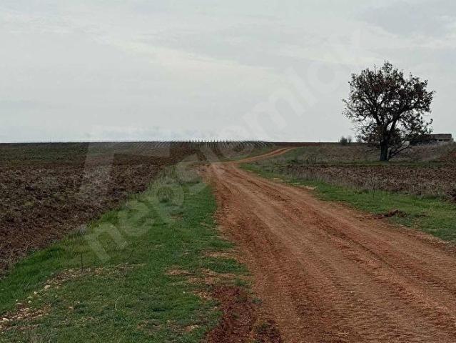 Sütlüce, Pınarhisar içerisinde satılık Arsa