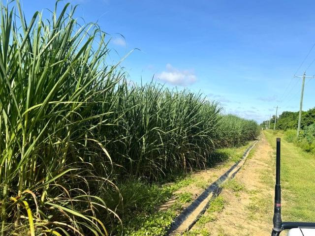 House for sale in Kirknie, Queensland