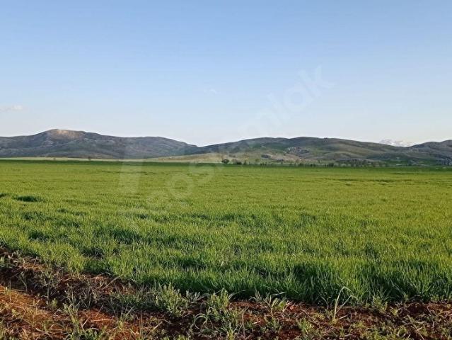 Kırkpınar, Korkuteli içerisinde satılık Arsa