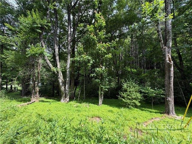 Land for sale in Watauga, North Carolina