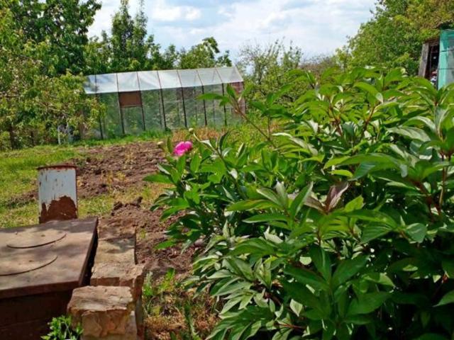 Дом продажа в Винницкой области