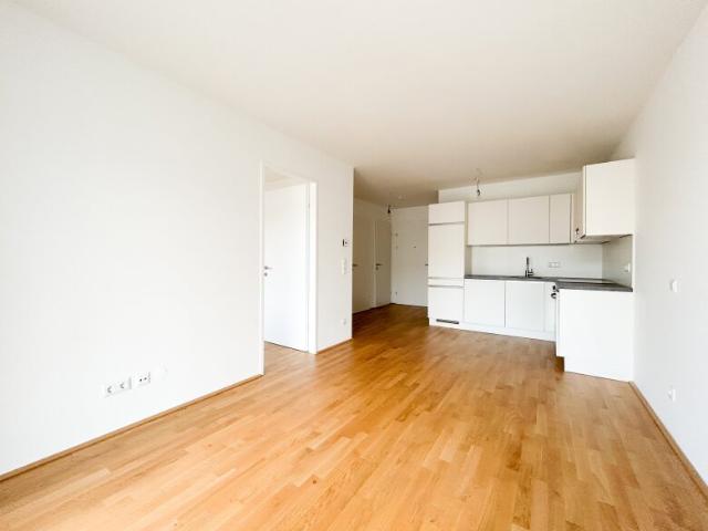 Apartment mieten in Donaustadt, Wien