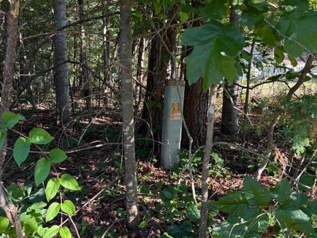 Land for sale in Virginia