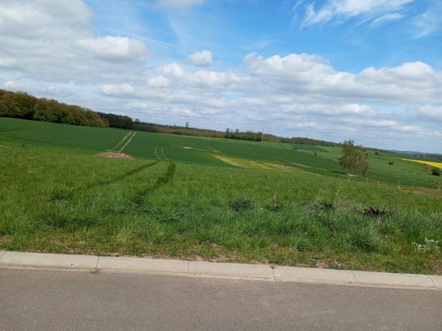 Terrain vente à Sarreguemines, Kirviller