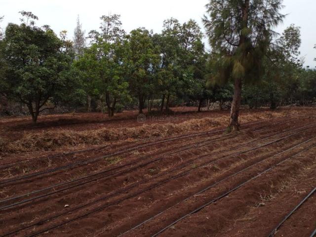 Land for sale in Kisaju, Kajiado