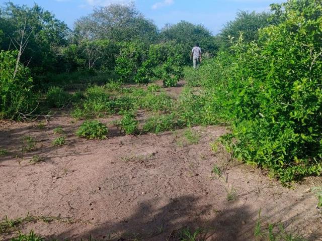 Land for sale in Kisaju, Kajiado