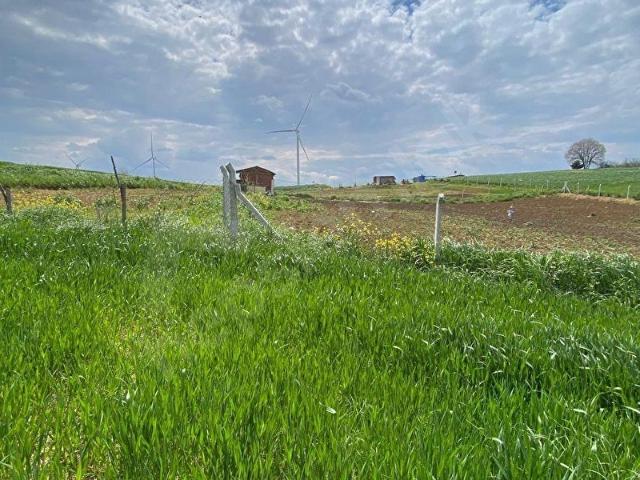 Balabanlı Mahallesi, Muratlı içerisinde satılık Arsa