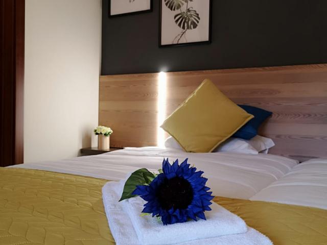 Estúdio alugar em Albufeira e Olhos de Água, Albufeira