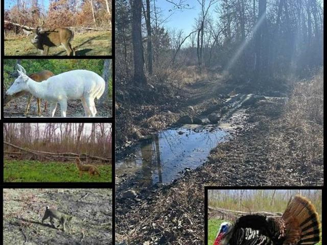 Farm for sale in Leasburg, Missouri