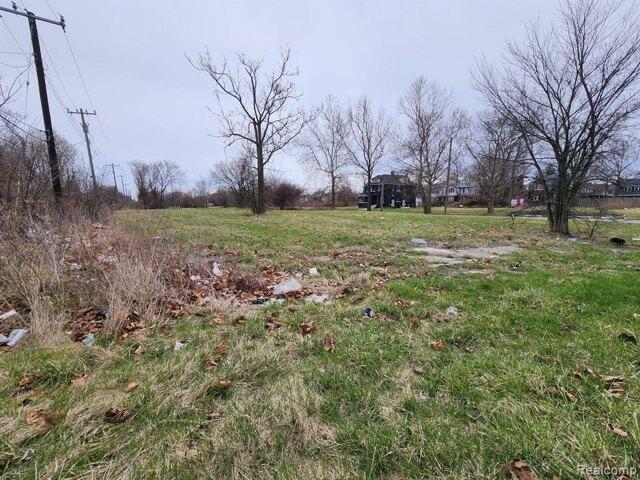 Land for sale in Detroit Land for sale in Detroit