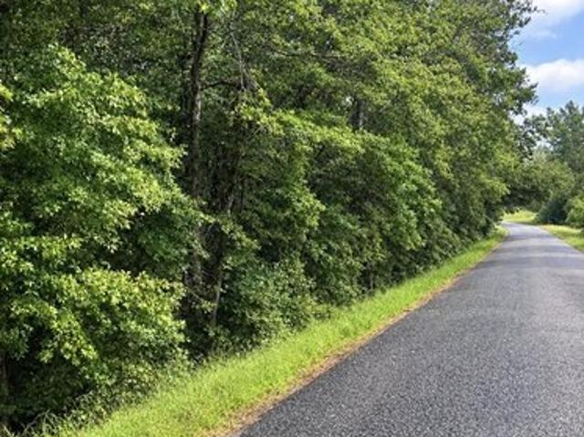 Land for sale in Pittsview, Russell County