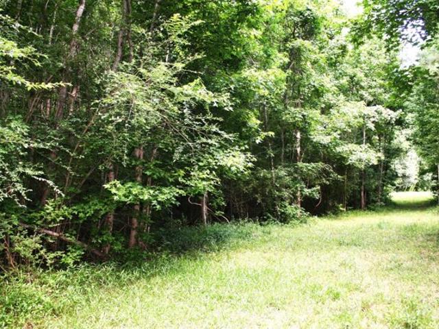 Land for sale in Moncks Corner Land for sale in Moncks Corner