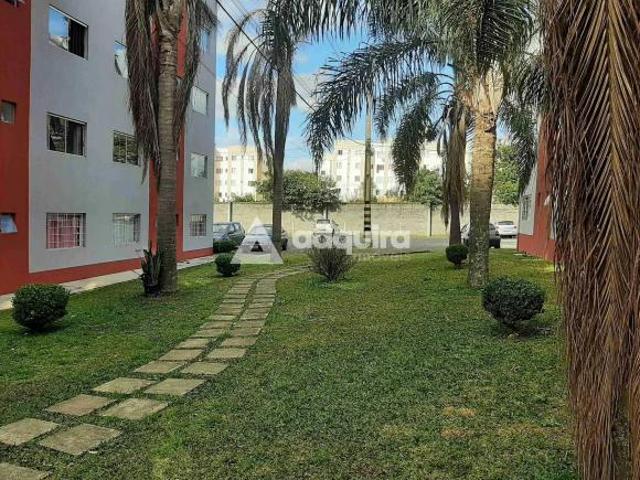 Apartamento venda em Região Geográfica Imediata de Ponta Grossa, Ponta Grossa