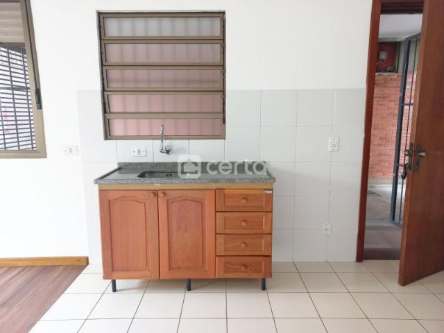 Kitnet aluguel em Vargem Grande do Sul