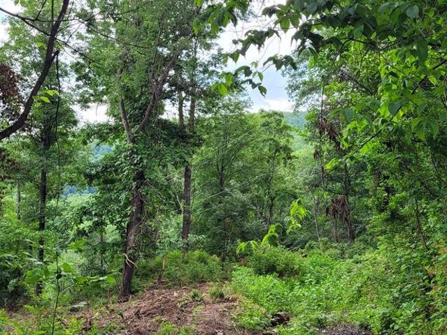 Land for sale in Virginia