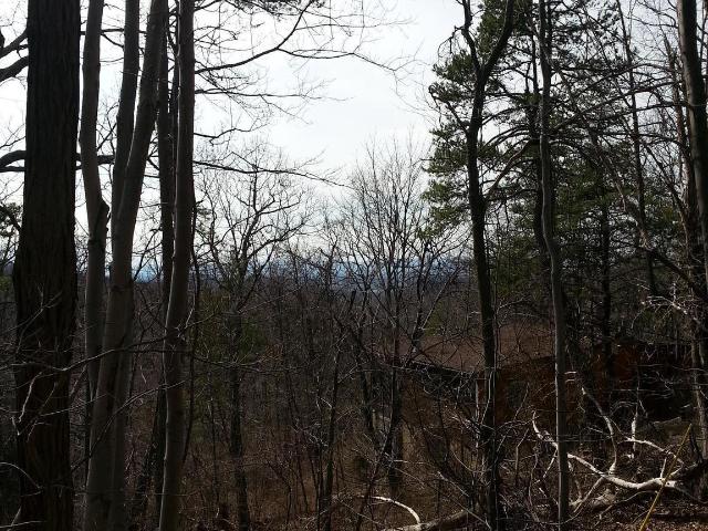 Land for sale in Virginia