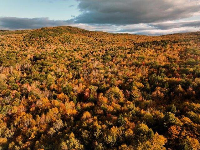 Land for sale in West Paris, Maine