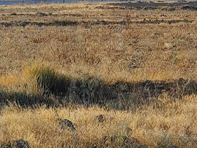 Kocasinan, Kayseri içerisinde satılık Arsa