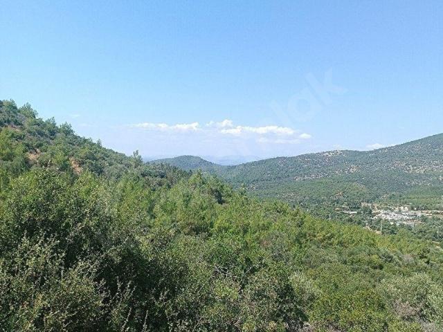 Bodrum, Muğla içerisinde satılık mülk